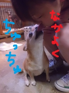 CIMG0317.JPG