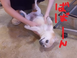 CIMG0322.JPG