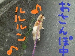CIMG0669.JPG
