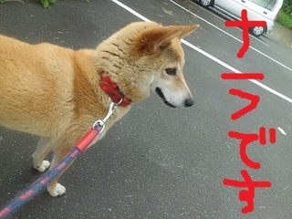 CIMG0673.JPG