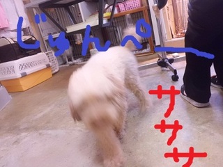 CIMG2543.JPG