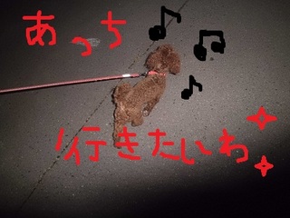 CIMG4135.JPG