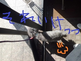 CIMG8159.JPG