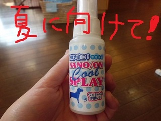 CIMG8281.JPG