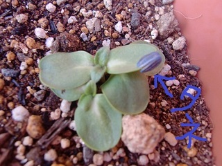 CIMG8309.JPG