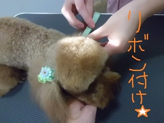 CIMG8507.JPG