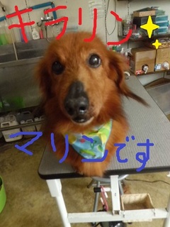 CIMG8663.JPG