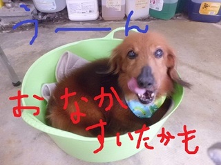 CIMG8671.JPG