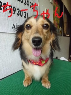 CIMG8739.JPG