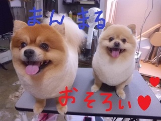CIMG8916.JPG