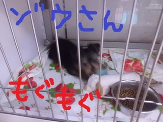 CIMG9874.JPG